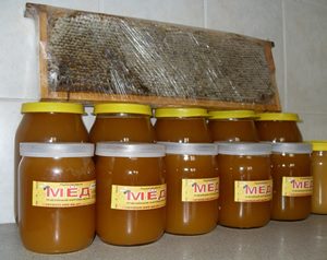 Лесной мёд купить в Минске, купить мёд в минске, продажа мёда в минске, где в минске купить хороший мед, мед купить минск 2017, сколько стоит литр меда в беларуси, магазин меда минск, продажа натурального мёда в минске с собственной пасеки минск, блог пчеловода, пчеловодство, где в минске купить хороший мед, моя пасека, мед на комаровке, белорусский мёд, купить мёд в беларуси