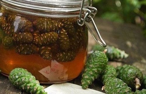 Рецепт хвойного бальзама на меду
