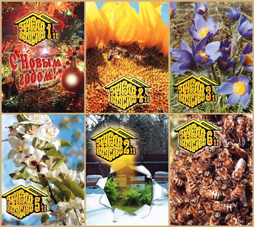Журнал Пчеловодство. Выпуски с 2015 по 2017 г скачать бесплатно