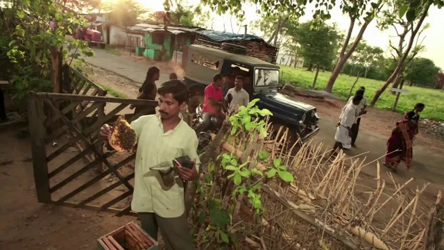 Пчеловодство в Индии